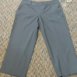 NWT Daisey Fuentes gray dress crop pant sz 8